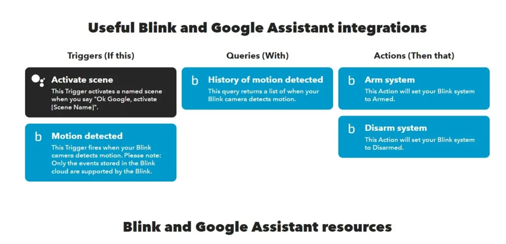 Blink Google Home